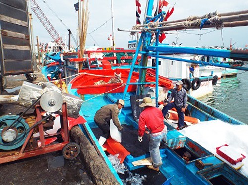 Khanh Hoa fishermen to celebrate Tet at sea - ảnh 1